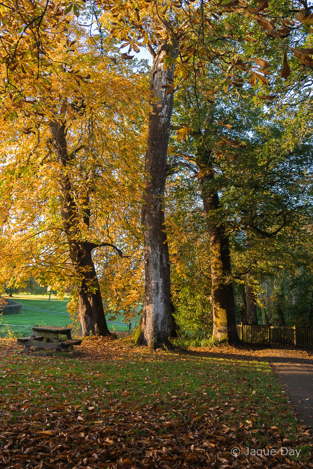 Breathtaking landscape photography